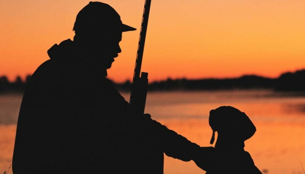 Stadig flere kjøper hund - og jakthunder er mest populært. Stadig flere kjøper hund - og jakthunder er mest populært.