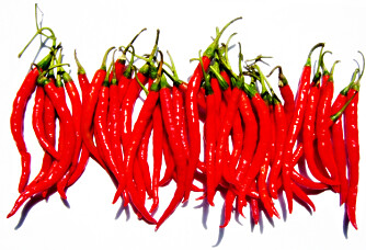 Chilli øker blodgjennomstrømmingen. Chilli øker blodgjennomstrømmingen.