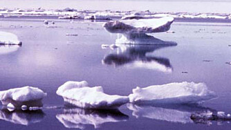 Foto: NASA Foto: NASA