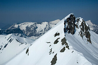 Saudehornet fra en annen vinkel. Foto: X2 Saudehornet fra en annen vinkel. Foto: X2