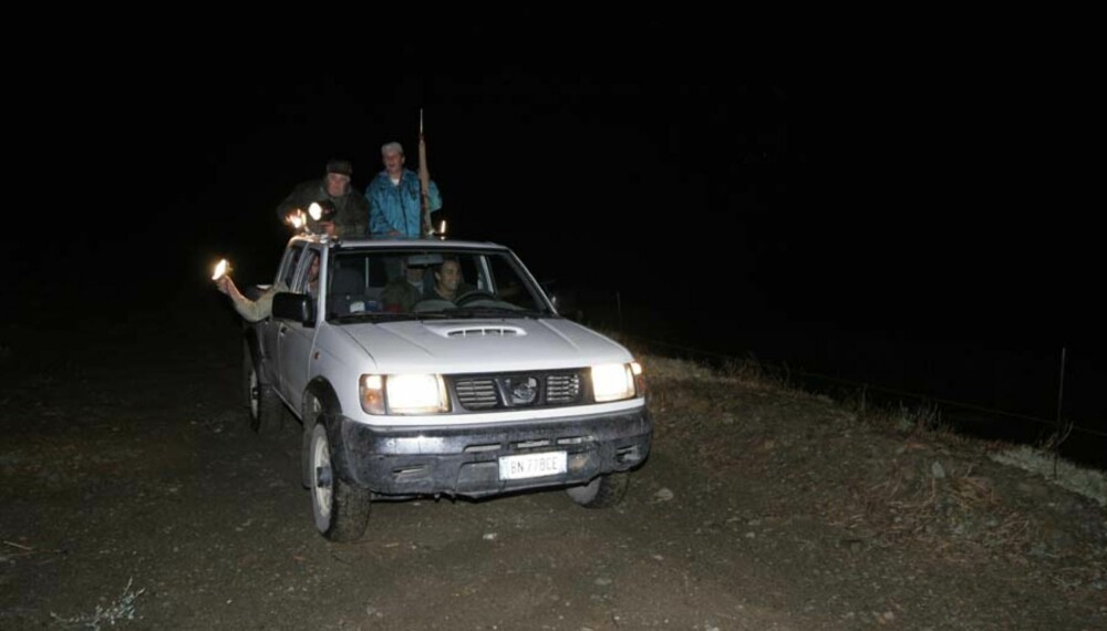 Jakta foregår fra bil med rifler og sterke lyskastere. Foto: Peter Nagy Jakta foregår fra bil med rifler og sterke lyskastere. Foto: Peter Nagy