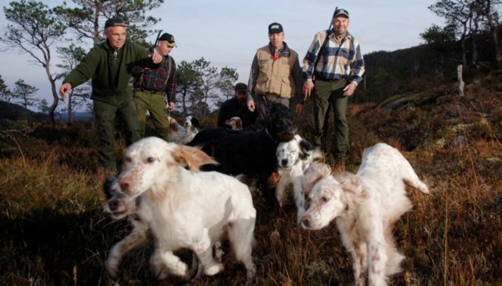 FULL FART er det alltid når disse karene og hundene dere er på jakt. (Foto: Yngve Ask) FULL FART er det alltid når disse karene og hundene dere er på jakt. (Foto: Yngve Ask)