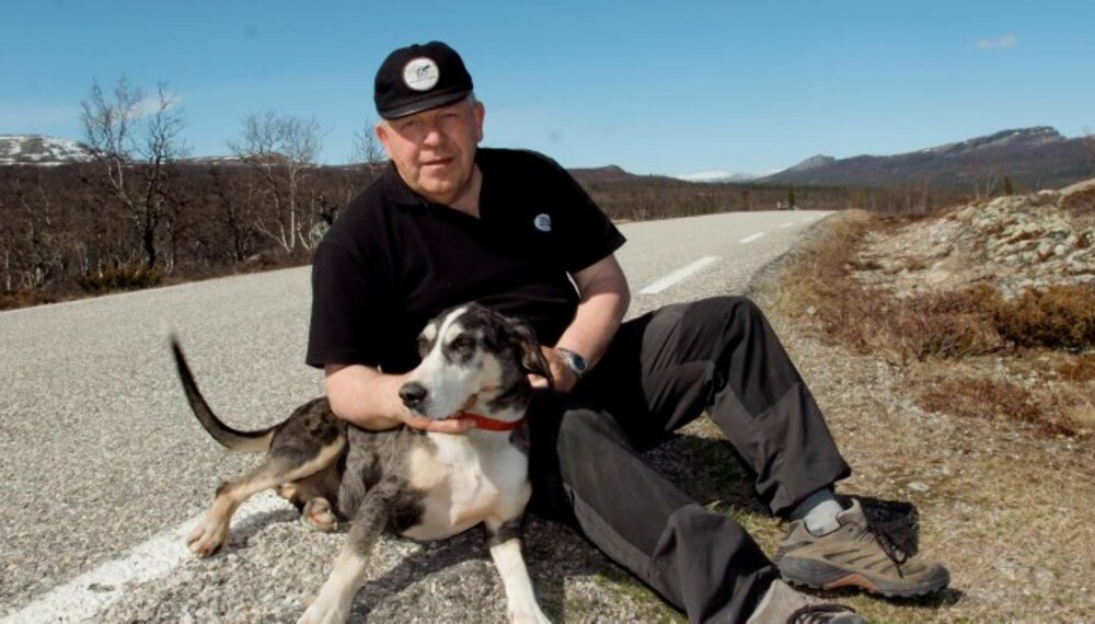 PASS PÅ: Over 35 hunder årlig kommer aldri hjem når de stikker av. Trafikken skader mellom 550 og 700 hunder hvert år. (Foto: Bjørn Brendbakken) PASS PÅ: Over 35 hunder årlig kommer aldri hjem når de stikker av. Trafikken skader mellom 550 og 700 hunder hvert år. (Foto: Bjørn Brendbakken)