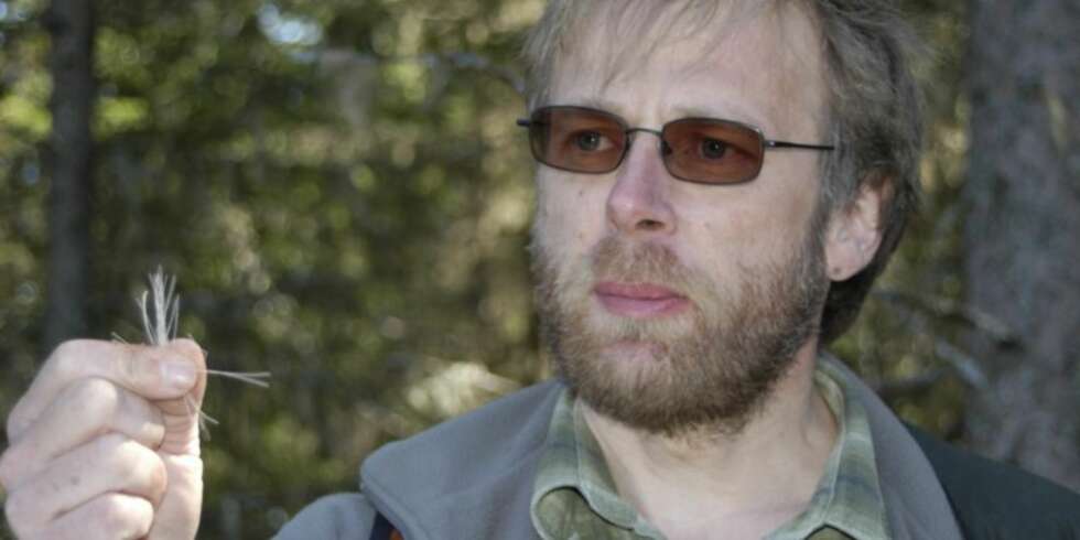 Ettersøk: Er dyret truffet, vil du alltid finne hår på skuddstedet, sier den danske ettersøksspesialisten Lars Mikkelsen. (Foto: Knut Brevik) Ettersøk: Er dyret truffet, vil du alltid finne hår på skuddstedet, sier den danske ettersøksspesialisten Lars Mikkelsen. (Foto: Knut Brevik)