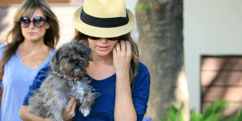 RING FRA KJÆRESTEN? Rachel Bilson fotografert under en tur med hunden fredag, med en forlovelseslignende ring på ringfingeren. RING FRA KJÆRESTEN? Rachel Bilson fotografert under en tur med hunden fredag, med en forlovelseslignende ring på ringfingeren.