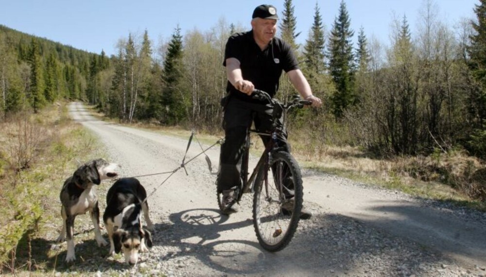 SYKKELTUR: Både hund og eier får god mosjon. (Foto: Bjørn Brendbakken) SYKKELTUR: Både hund og eier får god mosjon. (Foto: Bjørn Brendbakken)