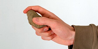 I noen tilfeller, som en siste utvei, kan du kaste en stein over eller til siden for dyret. Dette kan resultere i at dyret trekker vekk fra lyden og mot deg. I noen tilfeller, som en siste utvei, kan du kaste en stein over eller til siden for dyret. Dette kan resultere i at dyret trekker vekk fra lyden og mot deg.