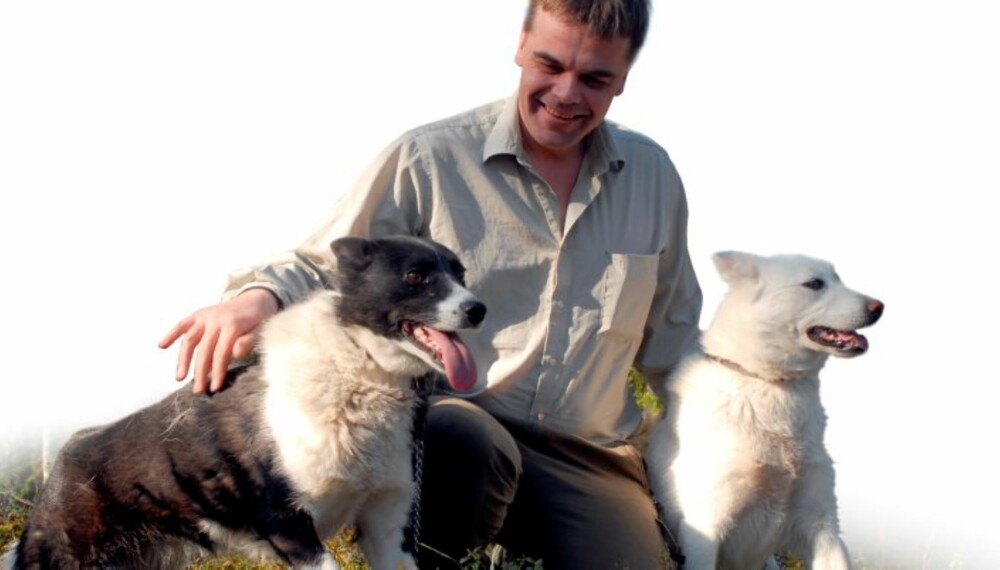 Trond med russisk-europeisk laika (t.v.) og vestsibirsk laika. (Foto: Peder W. Cappelen) Trond med russisk-europeisk laika (t.v.) og vestsibirsk laika. (Foto: Peder W. Cappelen)