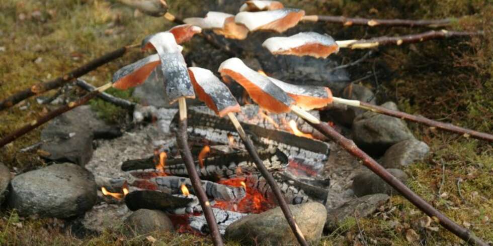 DET ENKLESTE er ofte det beste. Som bålstekt laks etter en vellykket fiskeøkt ved én av våre lakseelver. (Foto: Dag Kjelsaas) DET ENKLESTE er ofte det beste. Som bålstekt laks etter en vellykket fiskeøkt ved én av våre lakseelver. (Foto: Dag Kjelsaas)