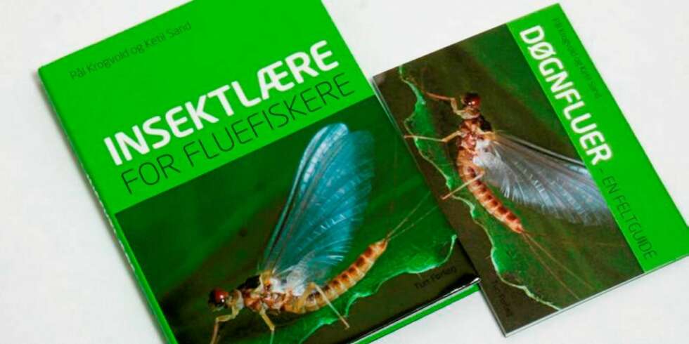 Bokomtaler Bokomtaler