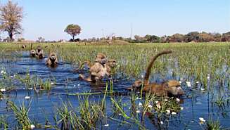 UNIKE OPPTAK: 71 naturfotografer har filmet på 204 ulke steder fordelt på 62 land. UNIKE OPPTAK: 71 naturfotografer har filmet på 204 ulke steder fordelt på 62 land.