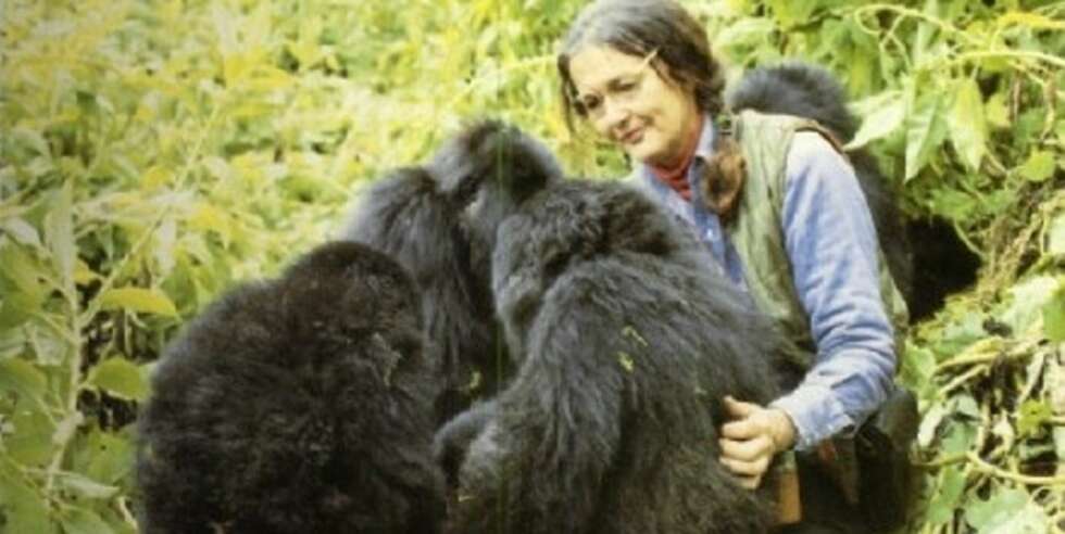 Dian Fossey Dian Fossey