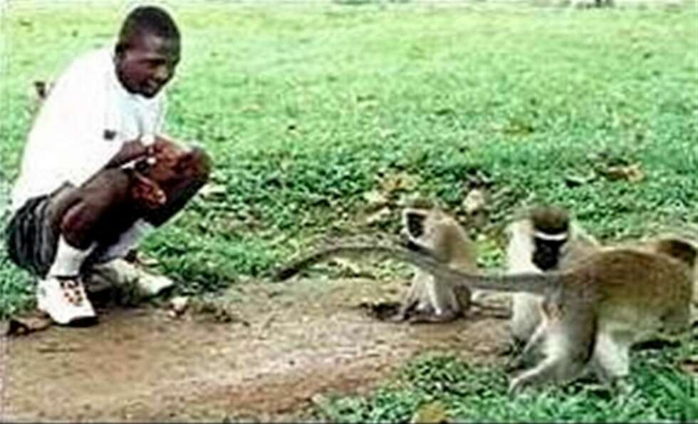 John Ssebunya John Ssebunya