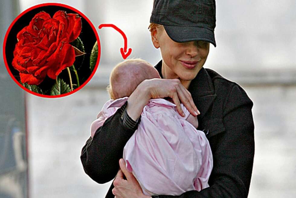 Nicole Kidman har, som sin eksmann Tom Cruise, sans for roser. Datteren heter Sunday Rose. Nicole Kidman har, som sin eksmann Tom Cruise, sans for roser. Datteren heter Sunday Rose.
