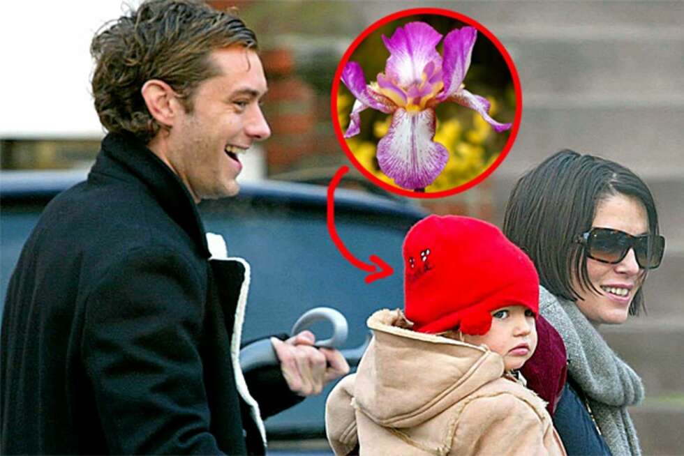 Jude Law og Sadie Frost med datteren Iris, den gang da ennå intet var forbi. Paret er i dag skilt. Jude Law og Sadie Frost med datteren Iris, den gang da ennå intet var forbi. Paret er i dag skilt.