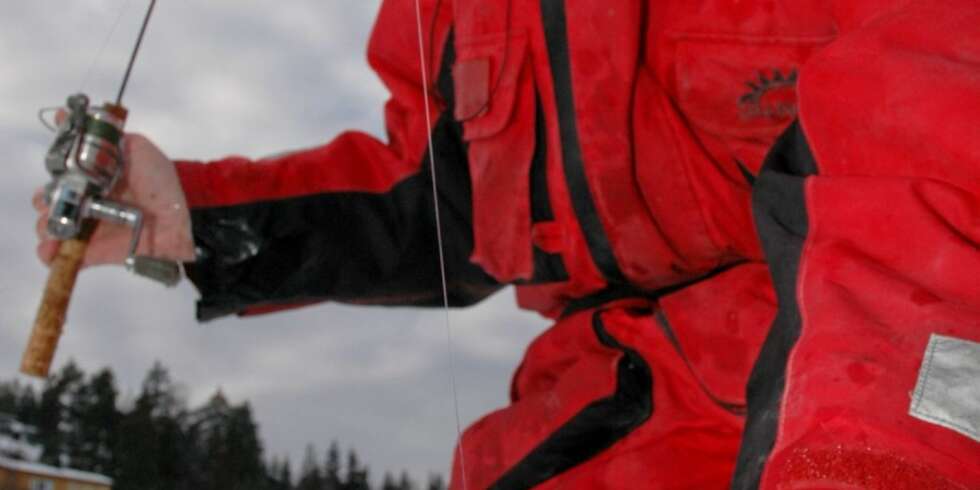 ISFISKET SJØØRRET: Det er bare lov til å fiske med ei stang etter sjøørret fra isen (med unntak av Drammensfjorden, der du kan bruke to). Bruker du flere stenger, må de andre derfor plasseres slik at det ikke er en nærliggende mulighet for at de fanger sjøørret. ISFISKET SJØØRRET: Det er bare lov til å fiske med ei stang etter sjøørret fra isen (med unntak av Drammensfjorden, der du kan bruke to). Bruker du flere stenger, må de andre derfor plasseres slik at det ikke er en nærliggende mulighet for at de fanger sjøørret.