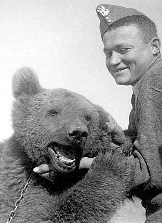 SNILL BAMSE:Wojtek var en blid og leken bamsegutt¿og gikk ikke av veien for en brytekamp med polske medsoldater. SNILL BAMSE:Wojtek var en blid og leken bamsegutt¿og gikk ikke av veien for en brytekamp med polske medsoldater.