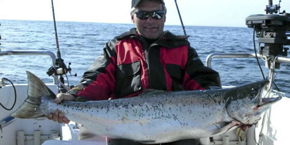 DAGENS STØRSTE: Odd Arne Myrbakken/Team Mjøsa med dagens norske laks på 12,57 kg. DAGENS STØRSTE: Odd Arne Myrbakken/Team Mjøsa med dagens norske laks på 12,57 kg.