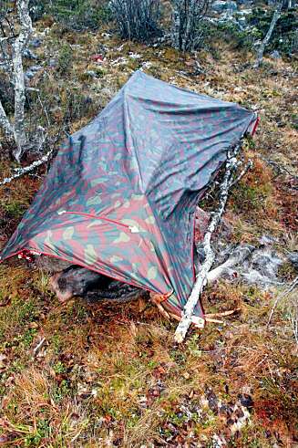 FJELLDUK: Beskytter mot vær og vind. FJELLDUK: Beskytter mot vær og vind.