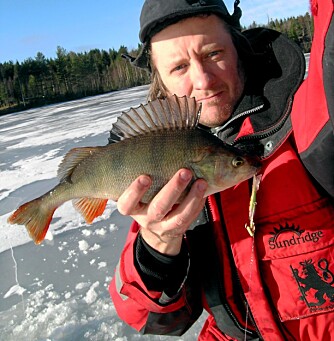LANGEN: Kanskje det fineste fiskevannet i Ski. Den lange, smale innsjøen byr på mange plasser med muligheter for stor abbor. Artikkelforfatteren med en 8-hektos tatt på balansepilk i februar. LANGEN: Kanskje det fineste fiskevannet i Ski. Den lange, smale innsjøen byr på mange plasser med muligheter for stor abbor. Artikkelforfatteren med en 8-hektos tatt på balansepilk i februar.