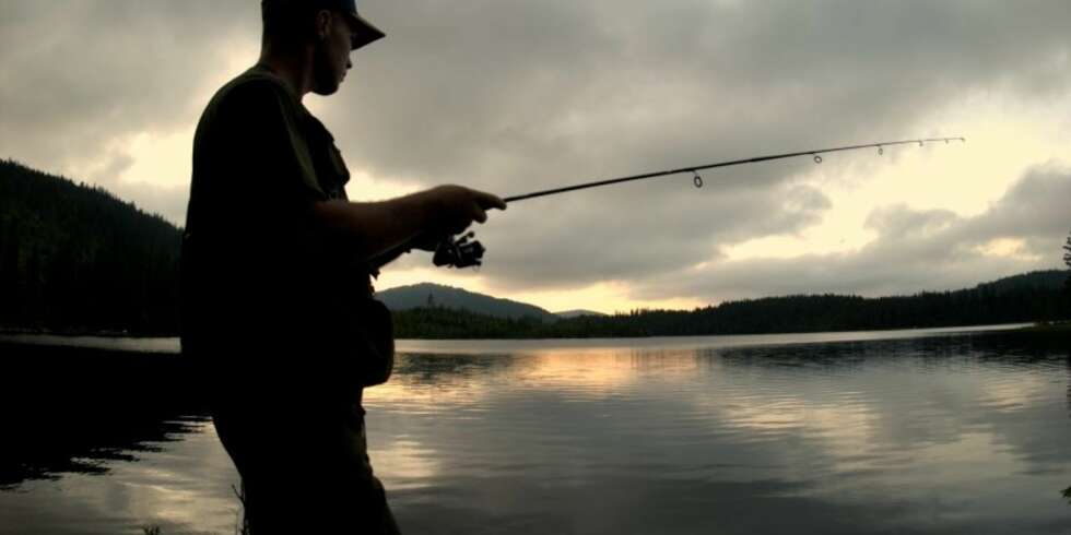 Ørretfisker i solnedgang. (Foto: Yngve Ask) Ørretfisker i solnedgang. (Foto: Yngve Ask)