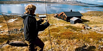 SKJERJA har mange viker, odder og småøyer. Nærmeste hytte har rom til mange fiskere, og overnattingen koster en hundrelapp. (Foto: Tom Furuseth) SKJERJA har mange viker, odder og småøyer. Nærmeste hytte har rom til mange fiskere, og overnattingen koster en hundrelapp. (Foto: Tom Furuseth)