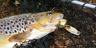 Ha trua - det øker suksessen!(Foto: Dag Kjelsaas) Ha trua - det øker suksessen!(Foto: Dag Kjelsaas)