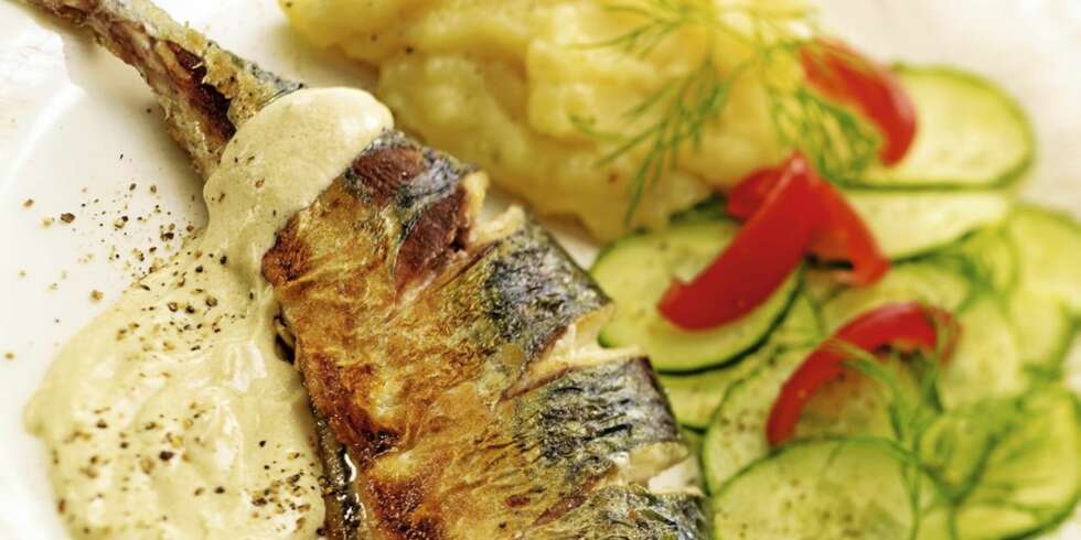 Makrellen serveres med rømmesaus, kokte poteter og agurksalat. Makrellen serveres med rømmesaus, kokte poteter og agurksalat.