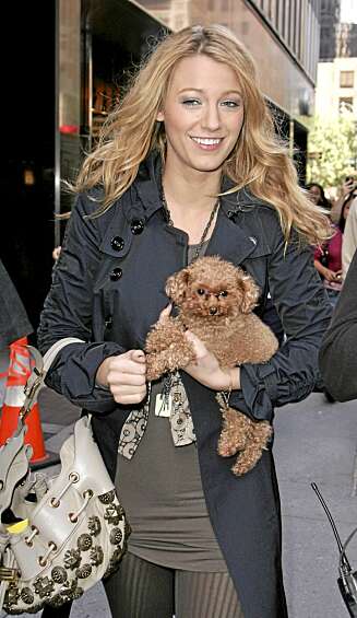 Skuespiller Blake Lively Skuespiller Blake Lively
