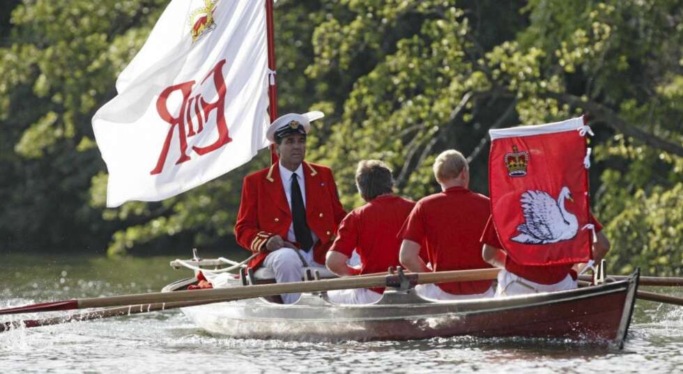UT OG FINNE SVANER: Dronning Elizabeths svanevoktere fosser frem i jakten på nye svaner til monarken. UT OG FINNE SVANER: Dronning Elizabeths svanevoktere fosser frem i jakten på nye svaner til monarken.