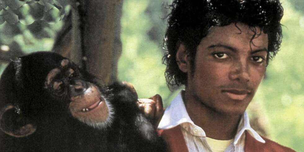 SNYTT FOR "FARSARVEN": Bubbles og Michael Jackson var bestevenner på 80-tallet. Etter Jackos død har ikke apen mottatt fem cent av alle millionene han skulle arve. SNYTT FOR "FARSARVEN": Bubbles og Michael Jackson var bestevenner på 80-tallet. Etter Jackos død har ikke apen mottatt fem cent av alle millionene han skulle arve.