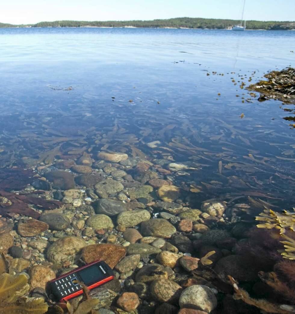 IDYLL: For de fleste hører salgvann og mobil ikke sammen. Men Samsung B2100 er laget for å tåle det. IDYLL: For de fleste hører salgvann og mobil ikke sammen. Men Samsung B2100 er laget for å tåle det.
