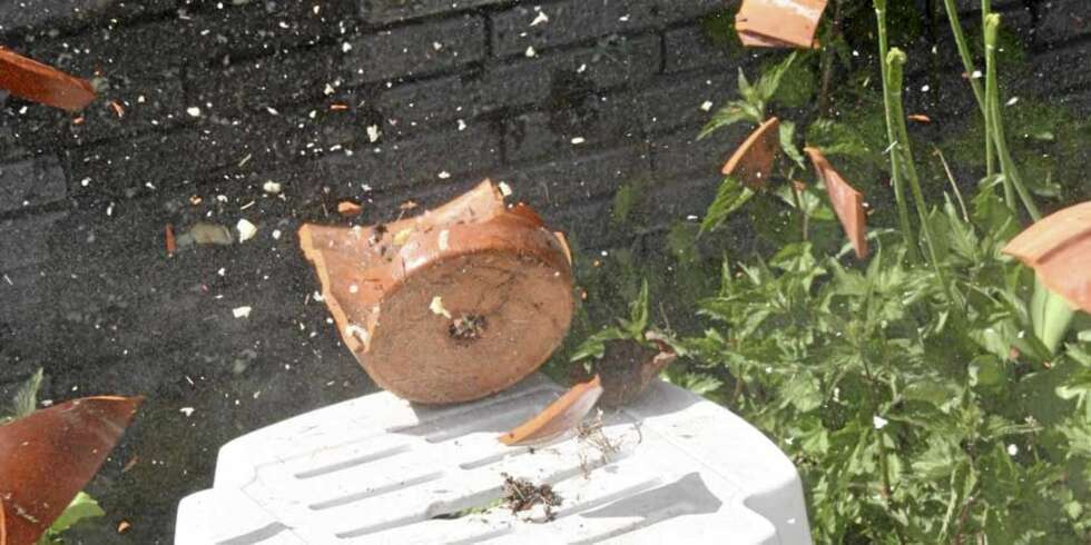 KRAFTIGE SAKER: Ikke mye igjen av blomsterpotta etter en fulltreffer fra potet avfyrt fra potetkanon. KRAFTIGE SAKER: Ikke mye igjen av blomsterpotta etter en fulltreffer fra potet avfyrt fra potetkanon.