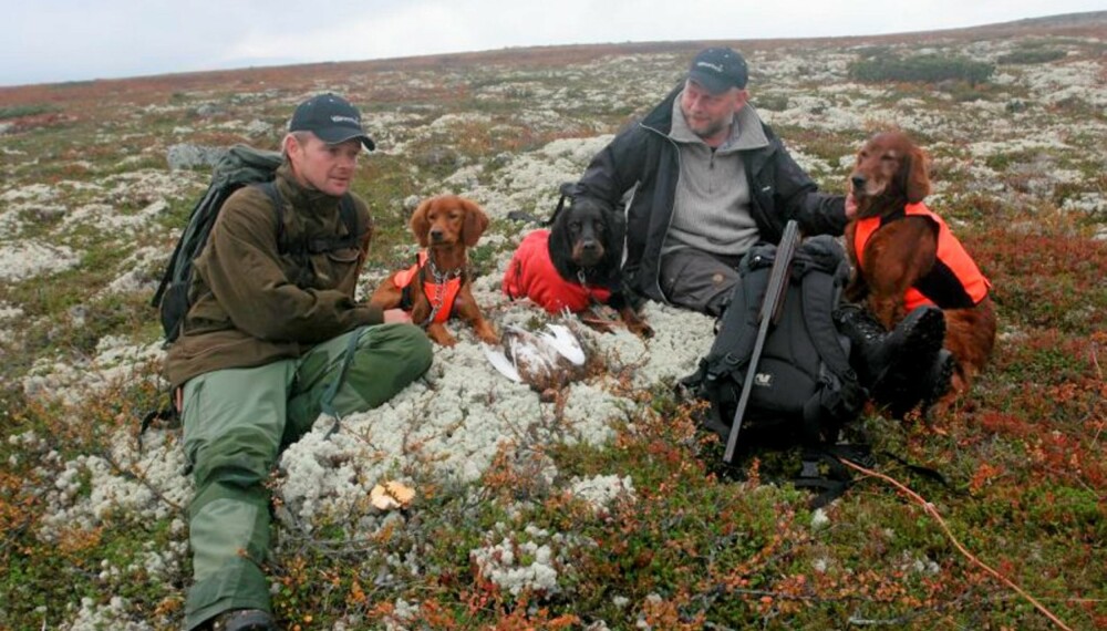 Rypejakt: Flott vær, nydelig jaktterreng, gode bikkjer og noen ryper til hver... (Foto: Dag Kjelsaas) Rypejakt: Flott vær, nydelig jaktterreng, gode bikkjer og noen ryper til hver... (Foto: Dag Kjelsaas)