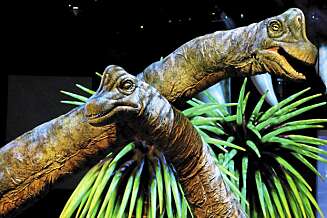 ETEMASKIN: Planteeteren Branchiosaurus var en sauroped og levde i juraperioden. Den kune veie opp til 60 tonn. ETEMASKIN: Planteeteren Branchiosaurus var en sauroped og levde i juraperioden. Den kune veie opp til 60 tonn.