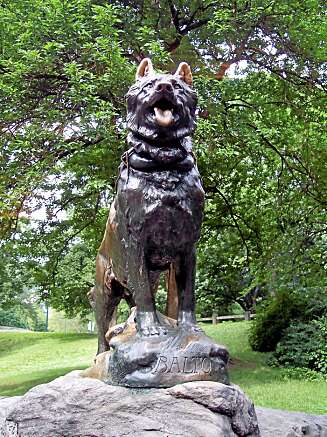 BALTO: Heltehunden har fått en statue i Central Park. BALTO: Heltehunden har fått en statue i Central Park.