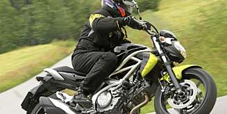 Suzuki 650 Gladius Suzuki 650 Gladius