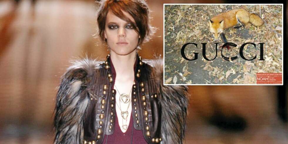 I FELLA: NOAHs antipels-kampanje retter seg i denne omgang mot motehuset Gucci. I FELLA: NOAHs antipels-kampanje retter seg i denne omgang mot motehuset Gucci.