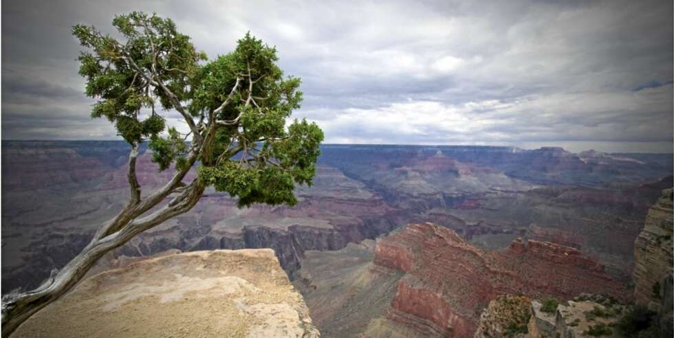 Grand Canyon Grand Canyon