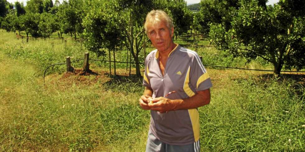 VERDIER: De tror appelsinfarmen min her oppe er verdt vanvittig mye penger. Bare tull. De har vært her og lusket. VERDIER: De tror appelsinfarmen min her oppe er verdt vanvittig mye penger. Bare tull. De har vært her og lusket.
