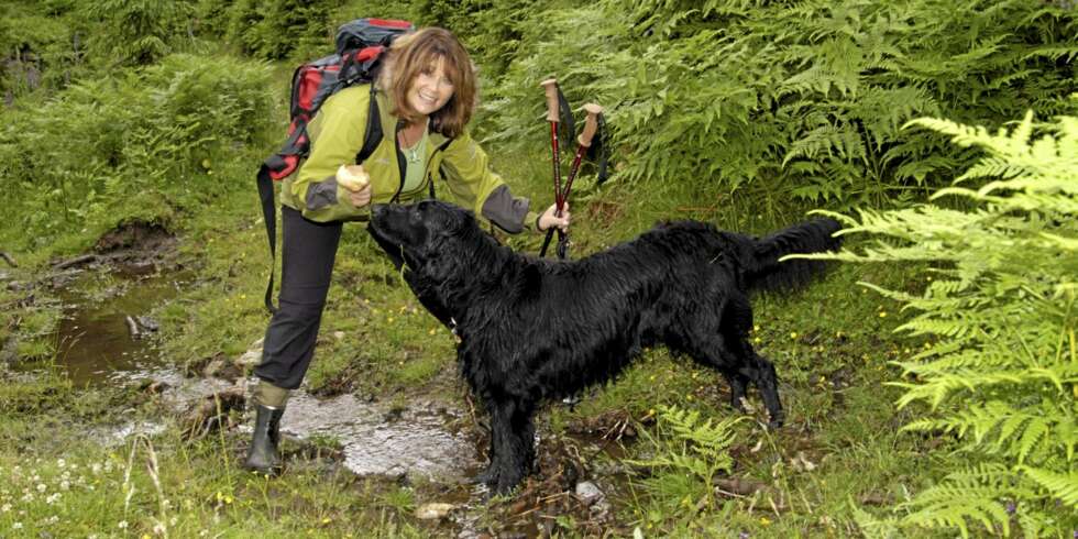 Oscar er blitt 11 år gammel og har vært en viktig turkamerat for Wenche i alle disse årene. Her er de under en liten skogstur for noen år tilbake. Oscar er blitt 11 år gammel og har vært en viktig turkamerat for Wenche i alle disse årene. Her er de under en liten skogstur for noen år tilbake.