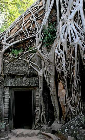 TA PROHM: Templet Ta Prohm hvor filmen "Tomb Rider" ble spilt inn, er et fascinerende sted å utforske. TA PROHM: Templet Ta Prohm hvor filmen "Tomb Rider" ble spilt inn, er et fascinerende sted å utforske.