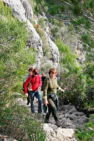 UT PÅ TUR: Mallorca har et vell av godt merkede turstier. UT PÅ TUR: Mallorca har et vell av godt merkede turstier.
