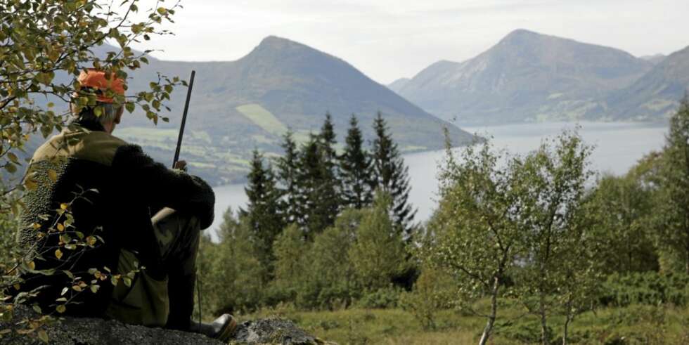 PÅ POST: Jeger på post med utsikt over hjortelier og Jølstervann. PÅ POST: Jeger på post med utsikt over hjortelier og Jølstervann.