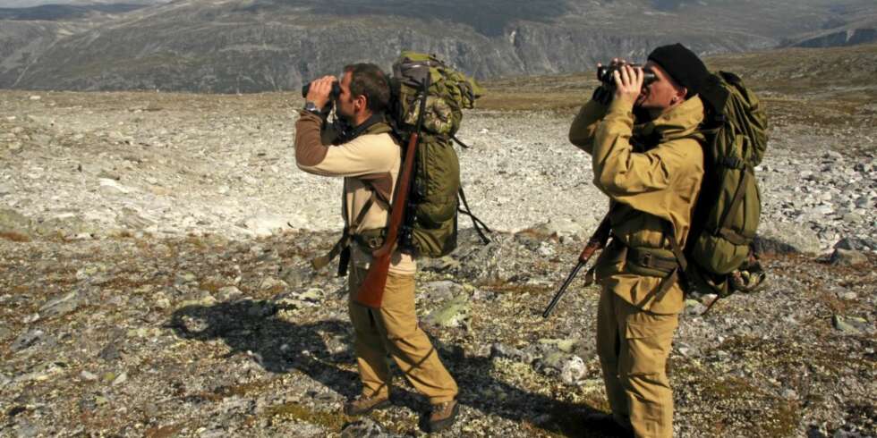 REIN I SIKTE: Mange timer i fjellet med alle sanser skjerpet, det er villreinjakt. REIN I SIKTE: Mange timer i fjellet med alle sanser skjerpet, det er villreinjakt.