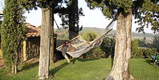SLAPP AV: Bondegårdsferie i Toscana er lite stressende. SLAPP AV: Bondegårdsferie i Toscana er lite stressende.