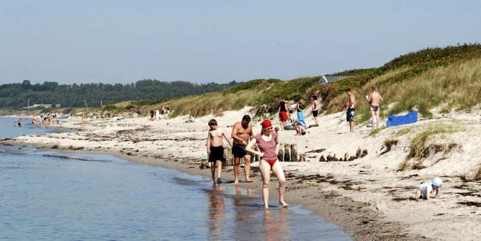 DANSK FERIE: Til mange nordmenns glede er prisene på utleiemarkedet i Danmark satt ned i år. Fortsatt er det feriehus til gode priser å få tak i. DANSK FERIE: Til mange nordmenns glede er prisene på utleiemarkedet i Danmark satt ned i år. Fortsatt er det feriehus til gode priser å få tak i.