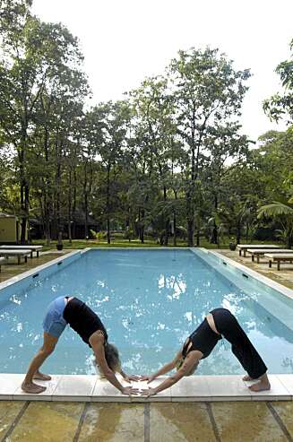VANNGYM: På Purple Valley Yoga Retreat i Goa i India kan du starte dagen med yoga og kjøle deg ned i stedets basseng etterpå. VANNGYM: På Purple Valley Yoga Retreat i Goa i India kan du starte dagen med yoga og kjøle deg ned i stedets basseng etterpå.