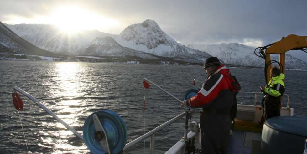 JUKSEFISKE: Noe fisk fikk vi, men ingen skrei. JUKSEFISKE: Noe fisk fikk vi, men ingen skrei.