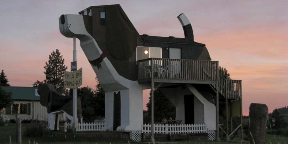 HUND I SOLNEDGANG: Inngfangsdøren til hotellrommene er gjennom magen til hunden. HUND I SOLNEDGANG: Inngfangsdøren til hotellrommene er gjennom magen til hunden.